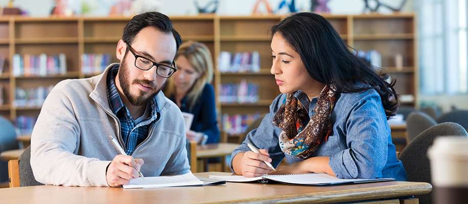 PhD Content Writing