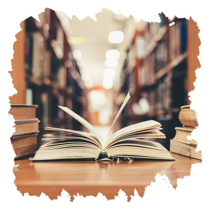 PhD Content Icon